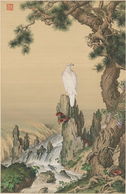 郎世宁嵩献英芝图轴