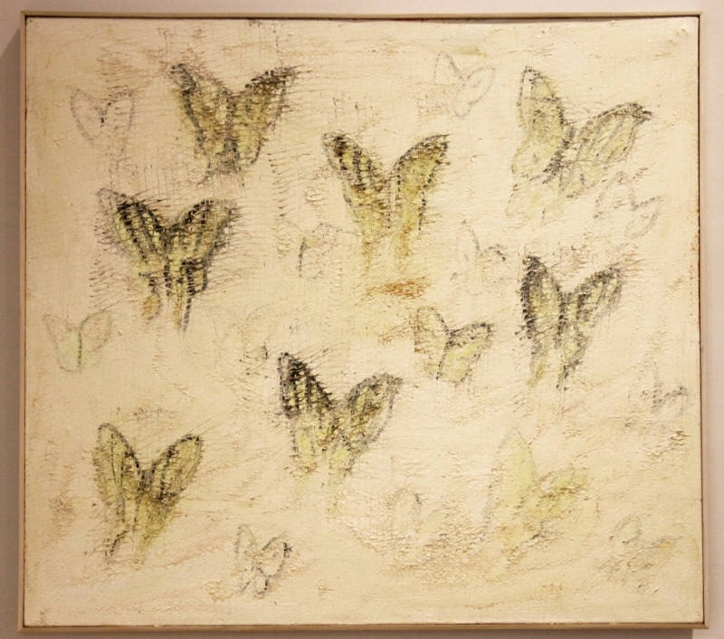 Sulphurs & Swallowtails