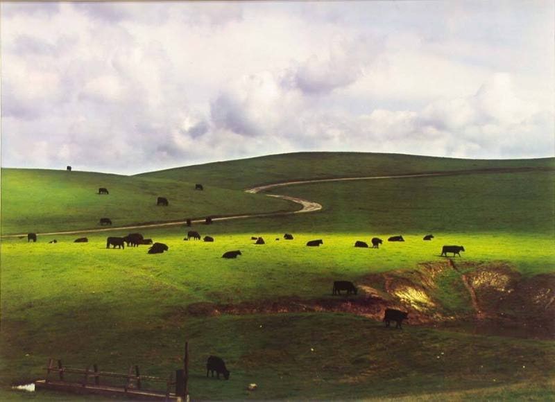 Palo Corona Ranch