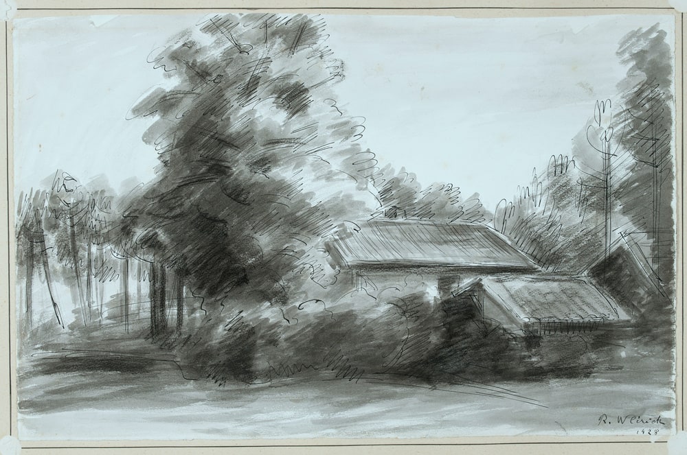 Paysage landais