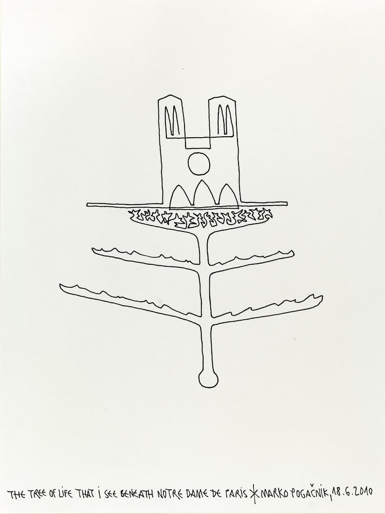 The tree of life ...