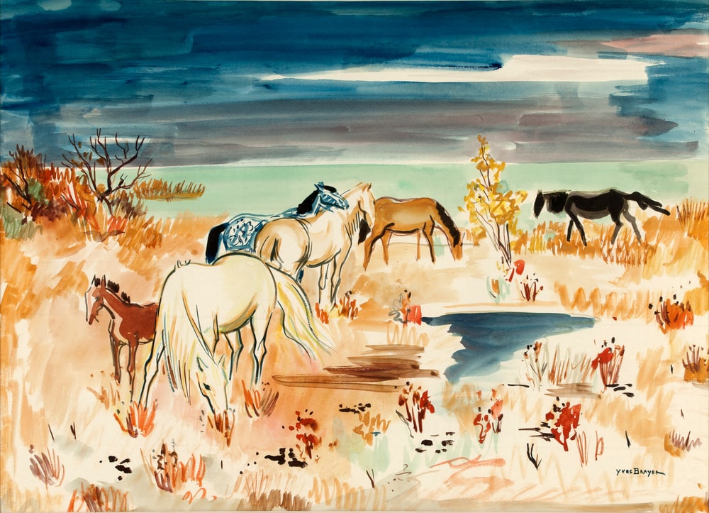 Chevaux de Camargue