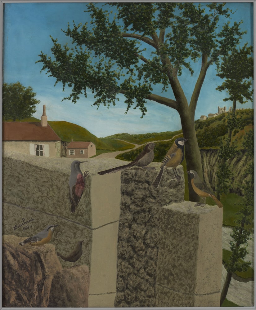 Le mur aux oiseaux