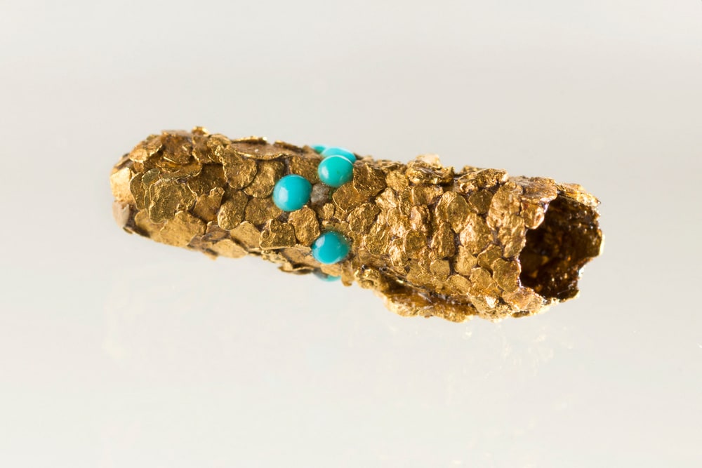 Tube de trichoptère