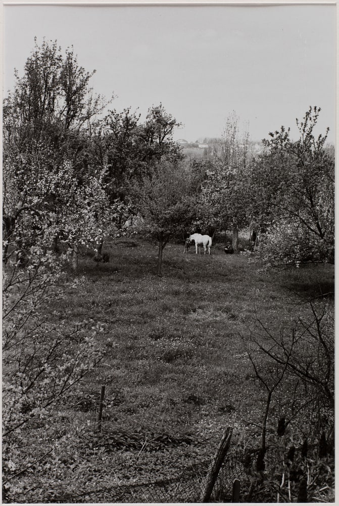 Paysage d'Alsace