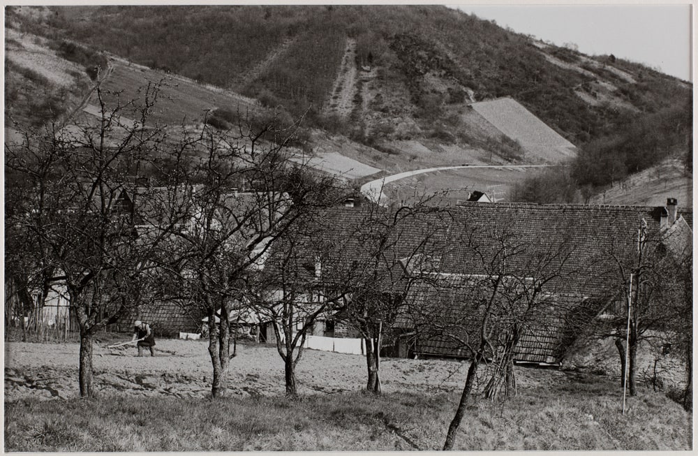 Paysage d'Alsace