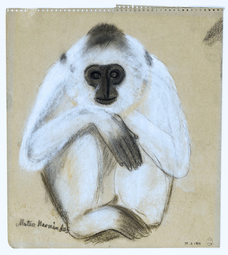 Singe