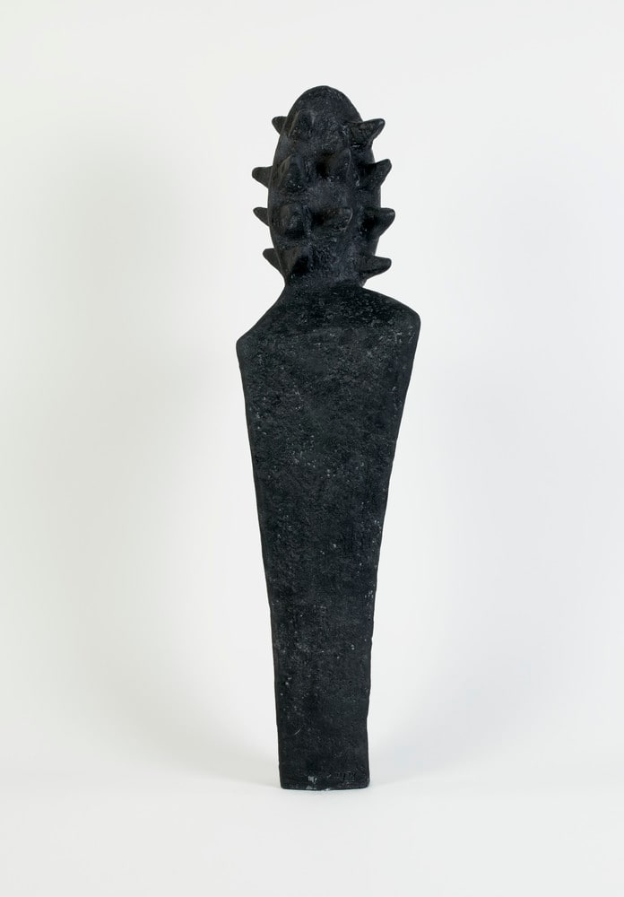 L'homme cactus