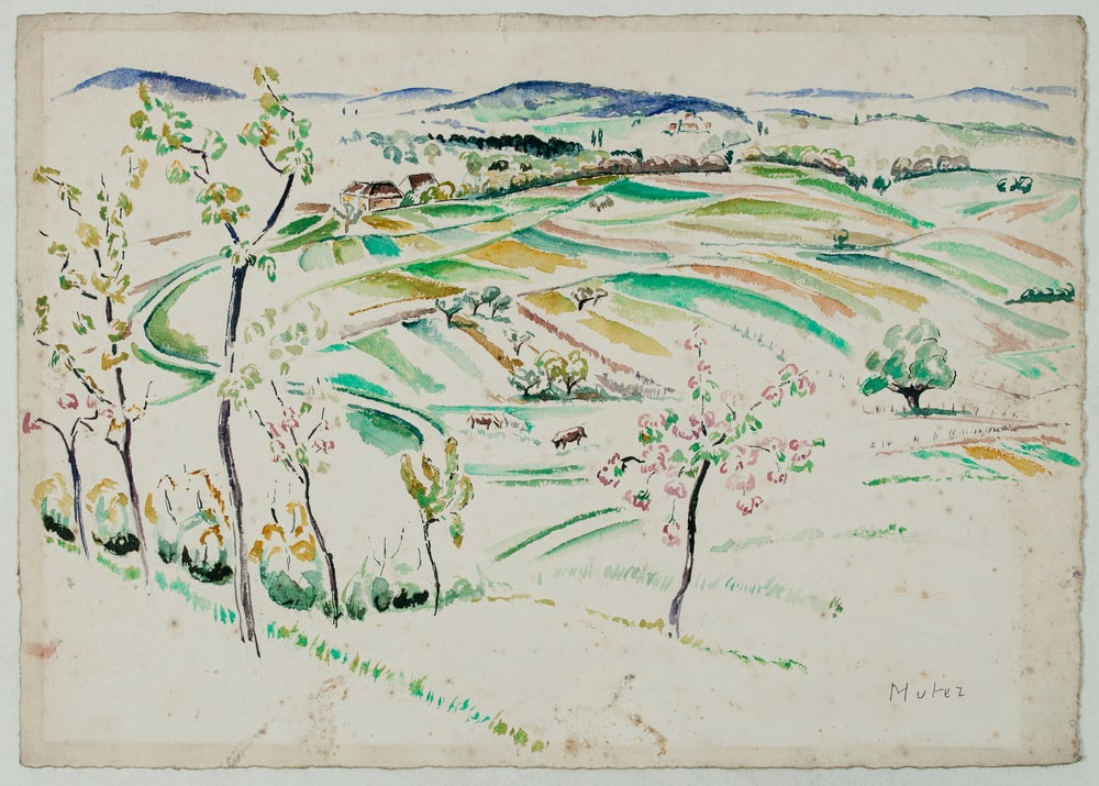 Paysage