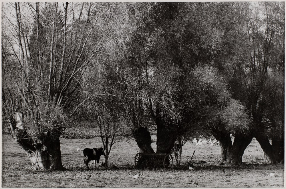 Paysage d'Alsace