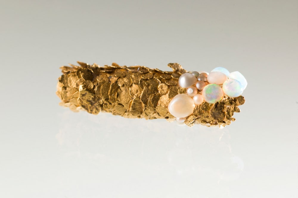 Tube de trichoptère