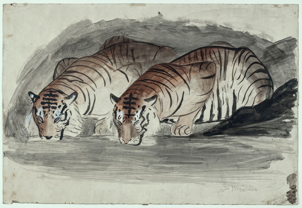 Tigres