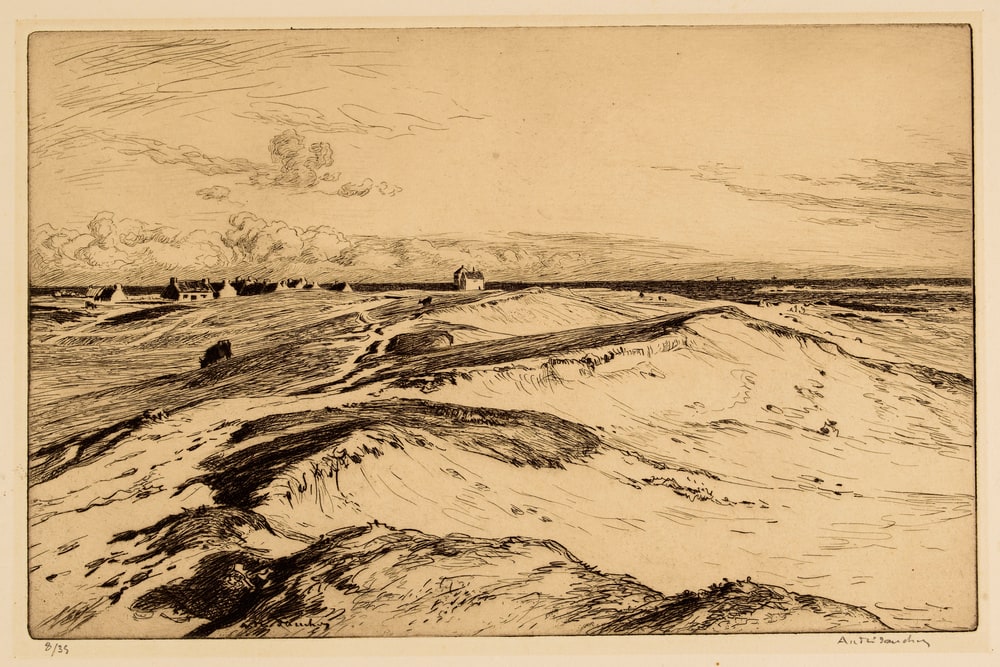 Sur les dunes