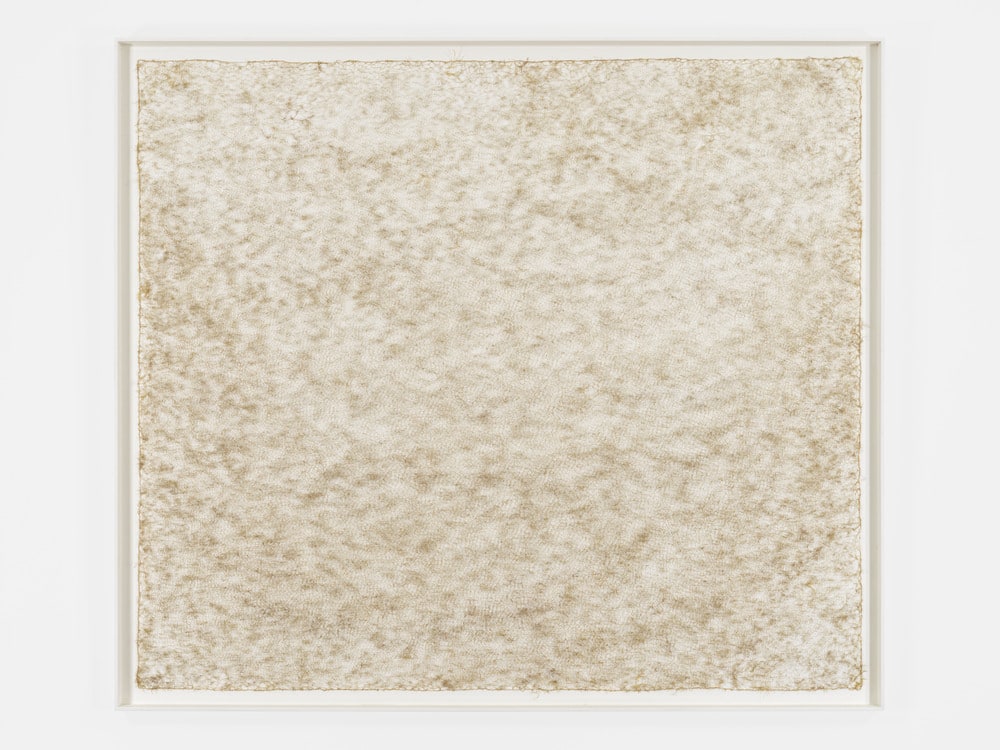 Entrelacs: "Graminée agrostis alba"
