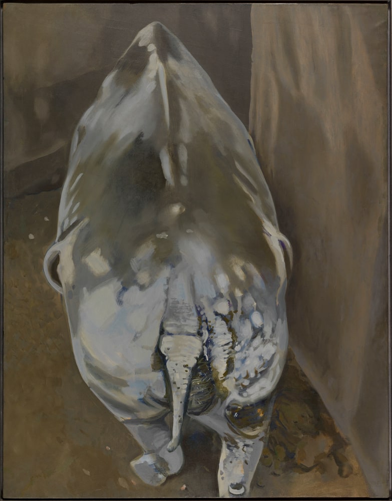 Rhinocéros de dos