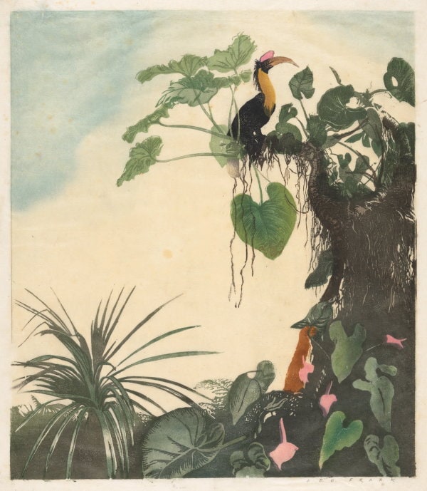 In the tropics