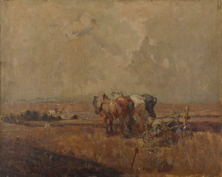 The plough