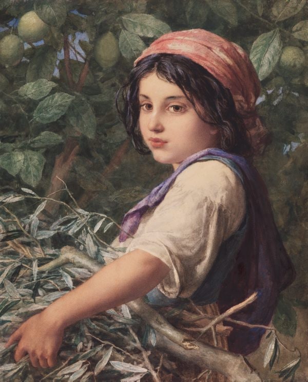 Una fascina di olive
