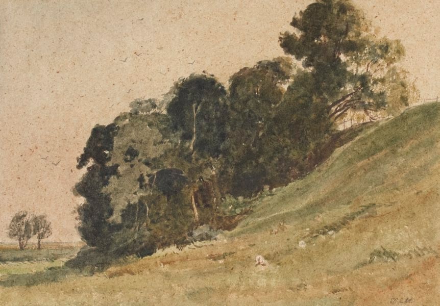Winchelsea Landscape