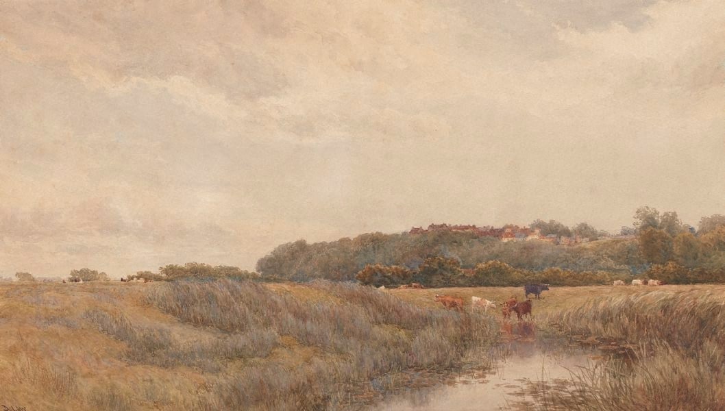 Winchelsea