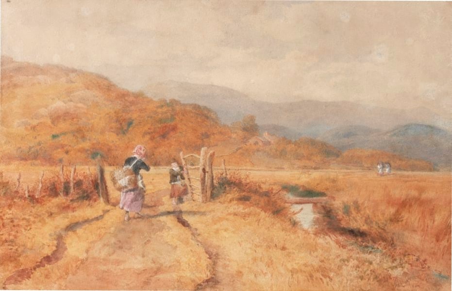 The road to the peat bog, near Barmouth, North Wales