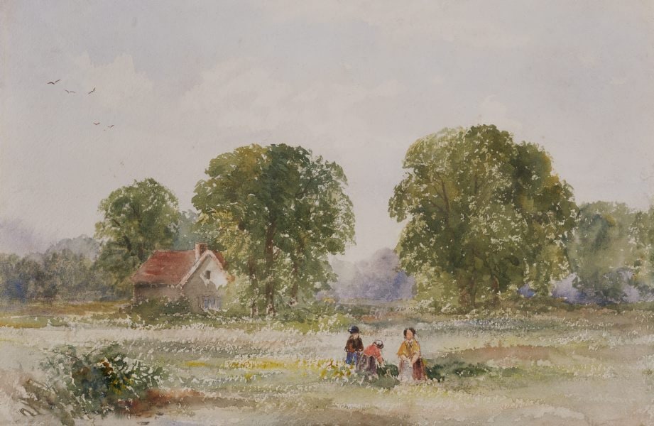 Women working in a field