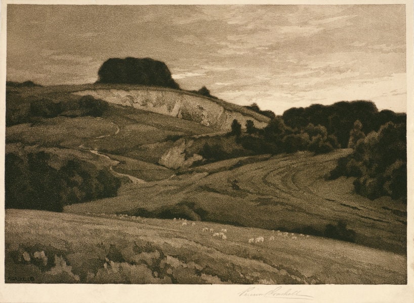 Chalk pits on the downs