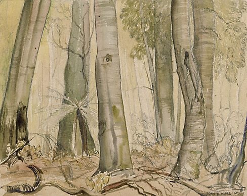Mt Wilson Forest