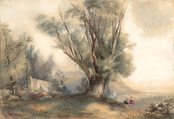Rushcutter's Bay
