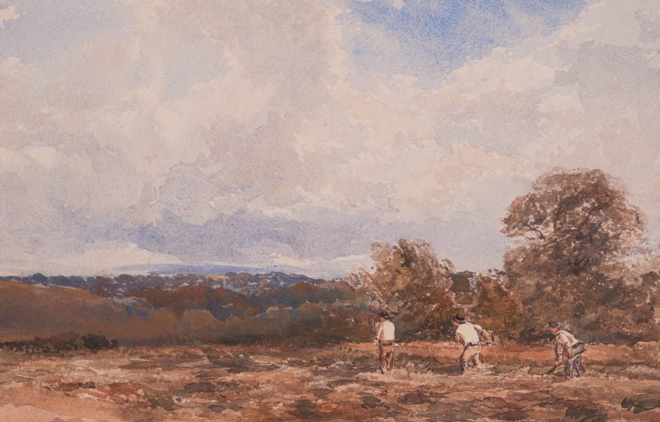 Haymaking