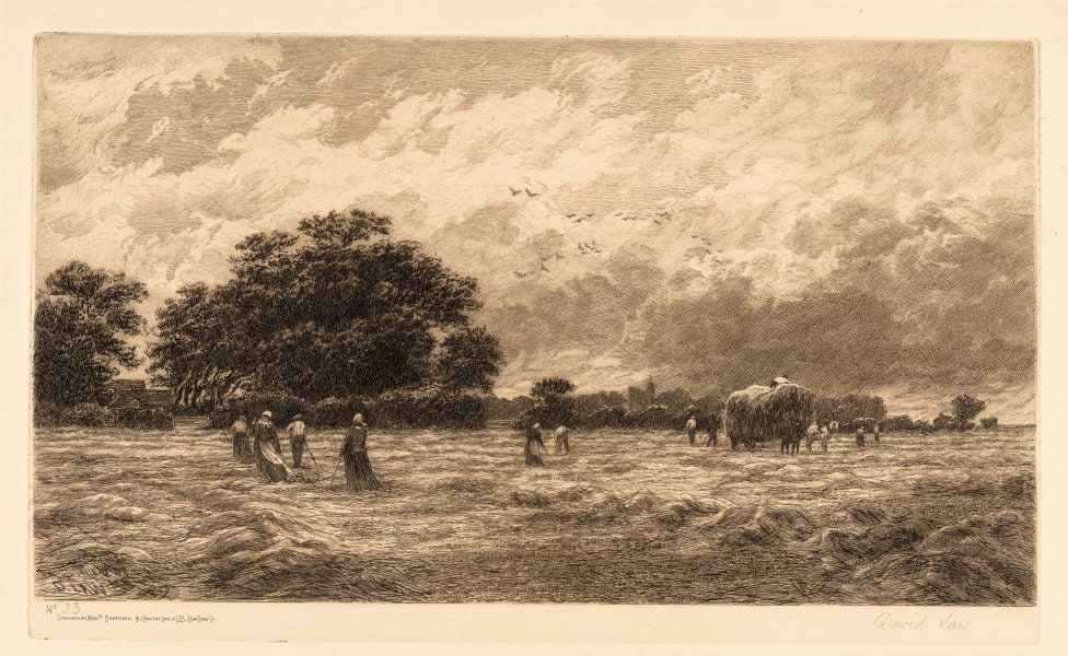 Haymaking - harvest scene