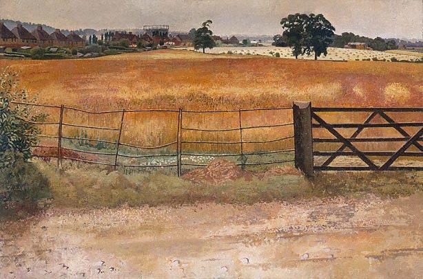 Wheatfield at Starlings