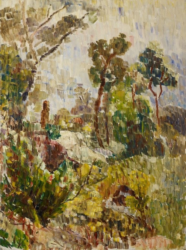 Bush at evening