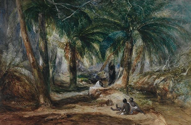 Valley of the ferns