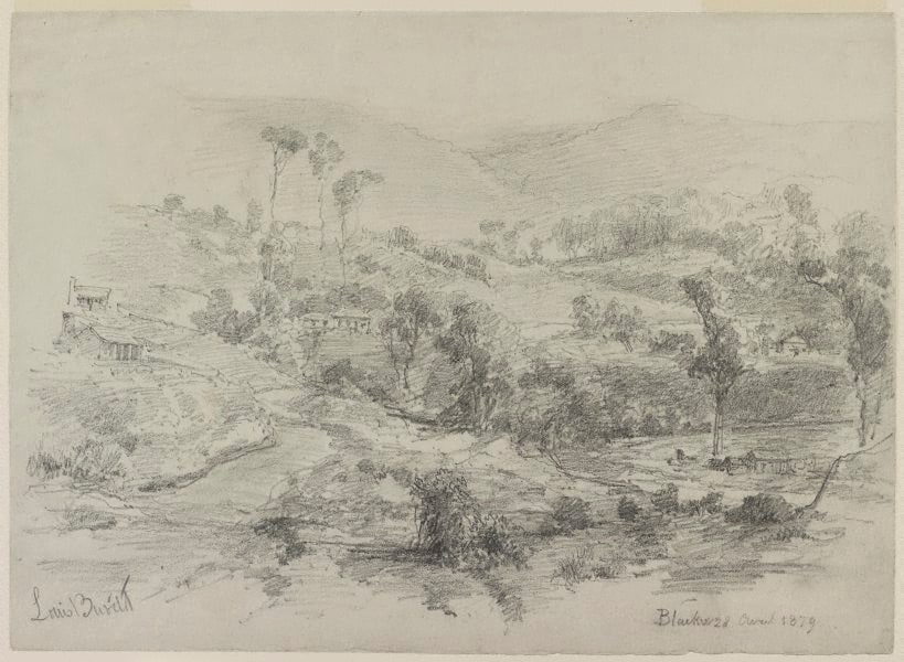 Blackwood