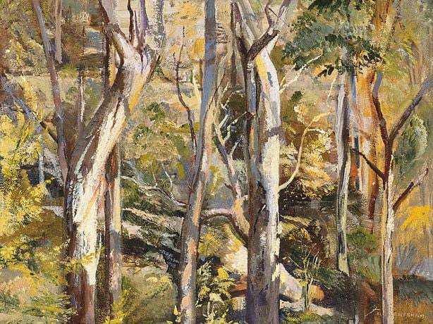 Gum forest