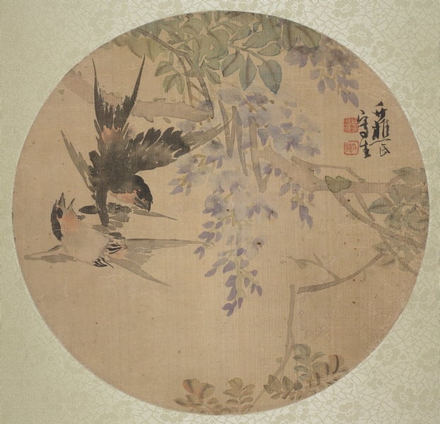 Birds