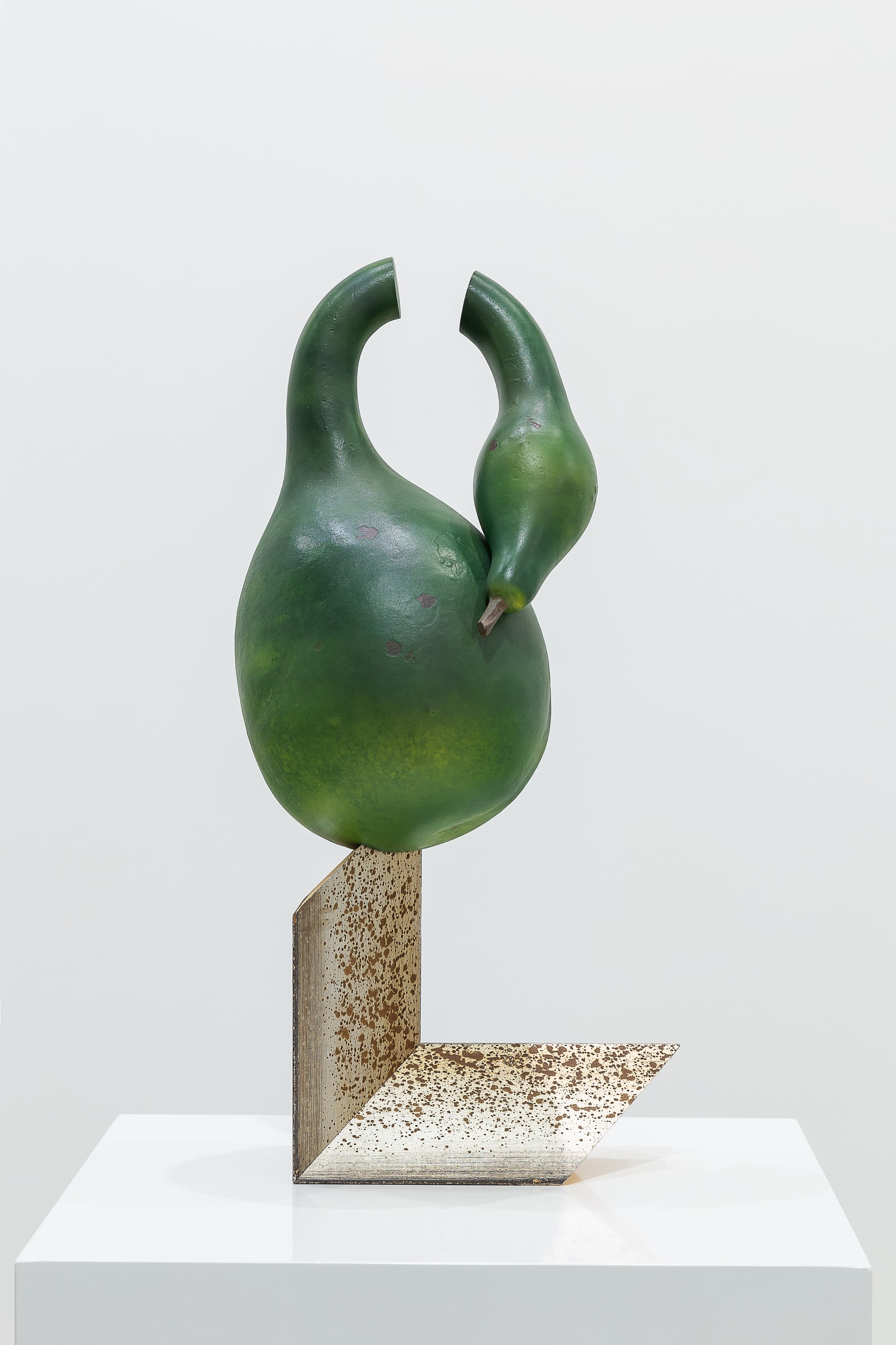 Swan Gourd, 2005