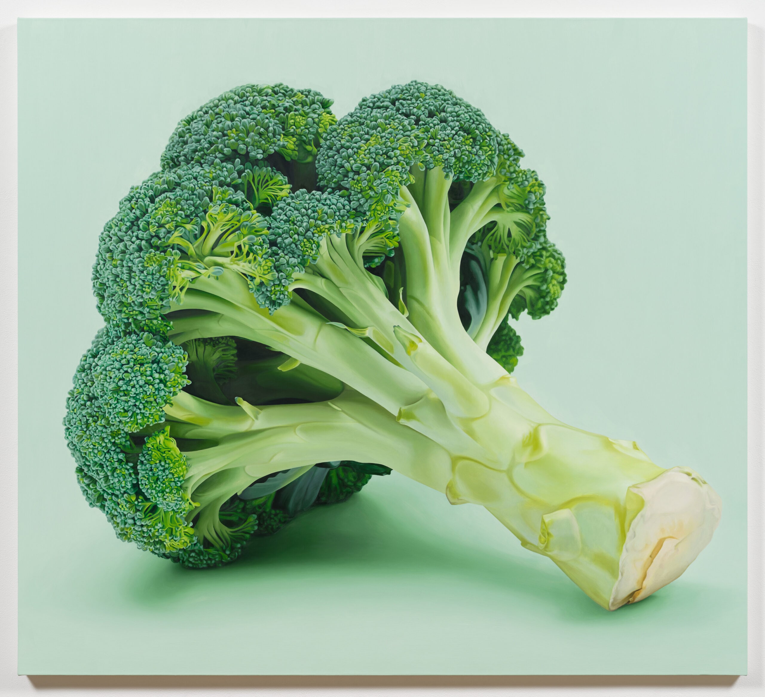 Broccoli, 2019