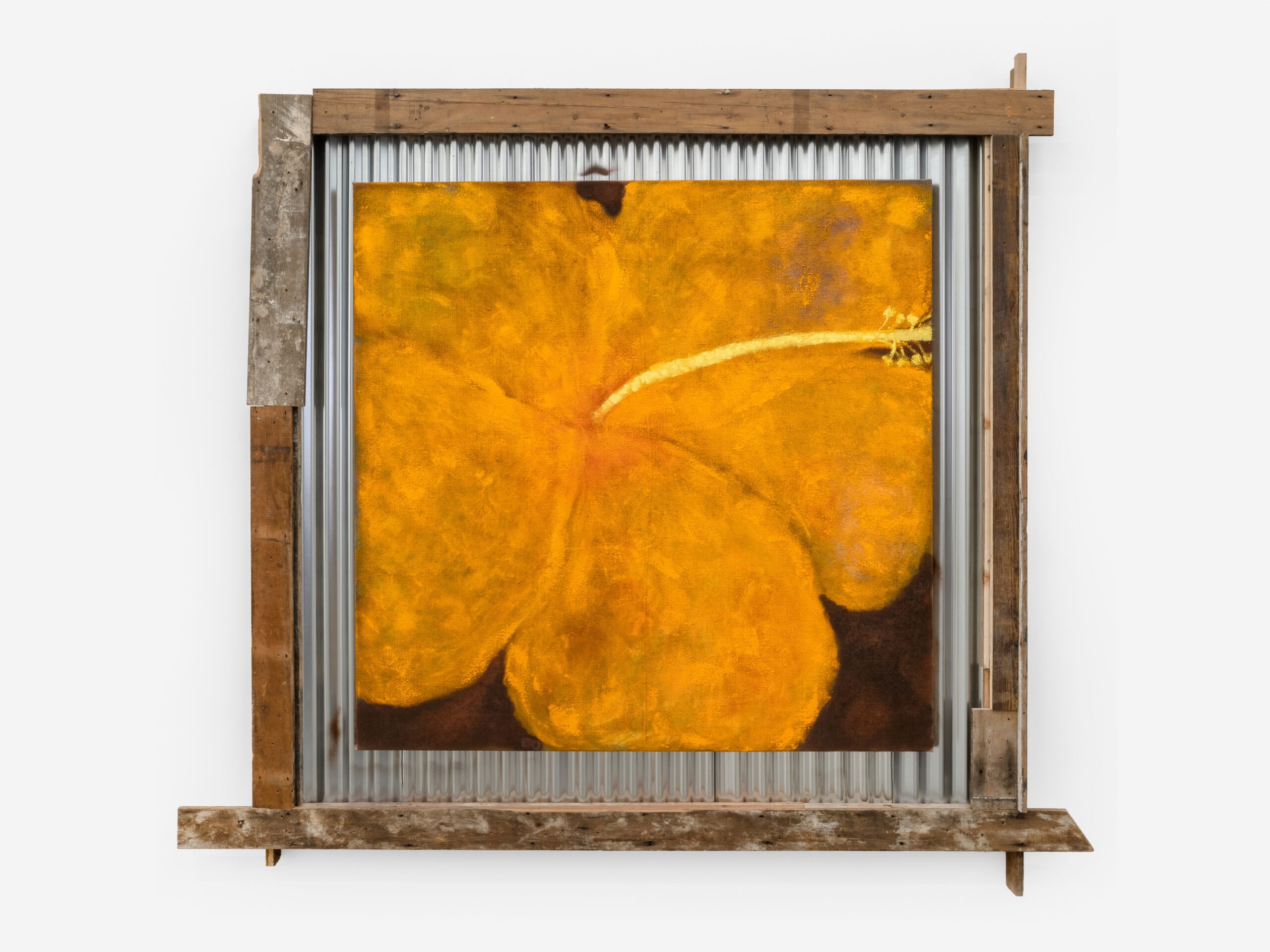 Yellow Hibiscus, September 2023, 2023