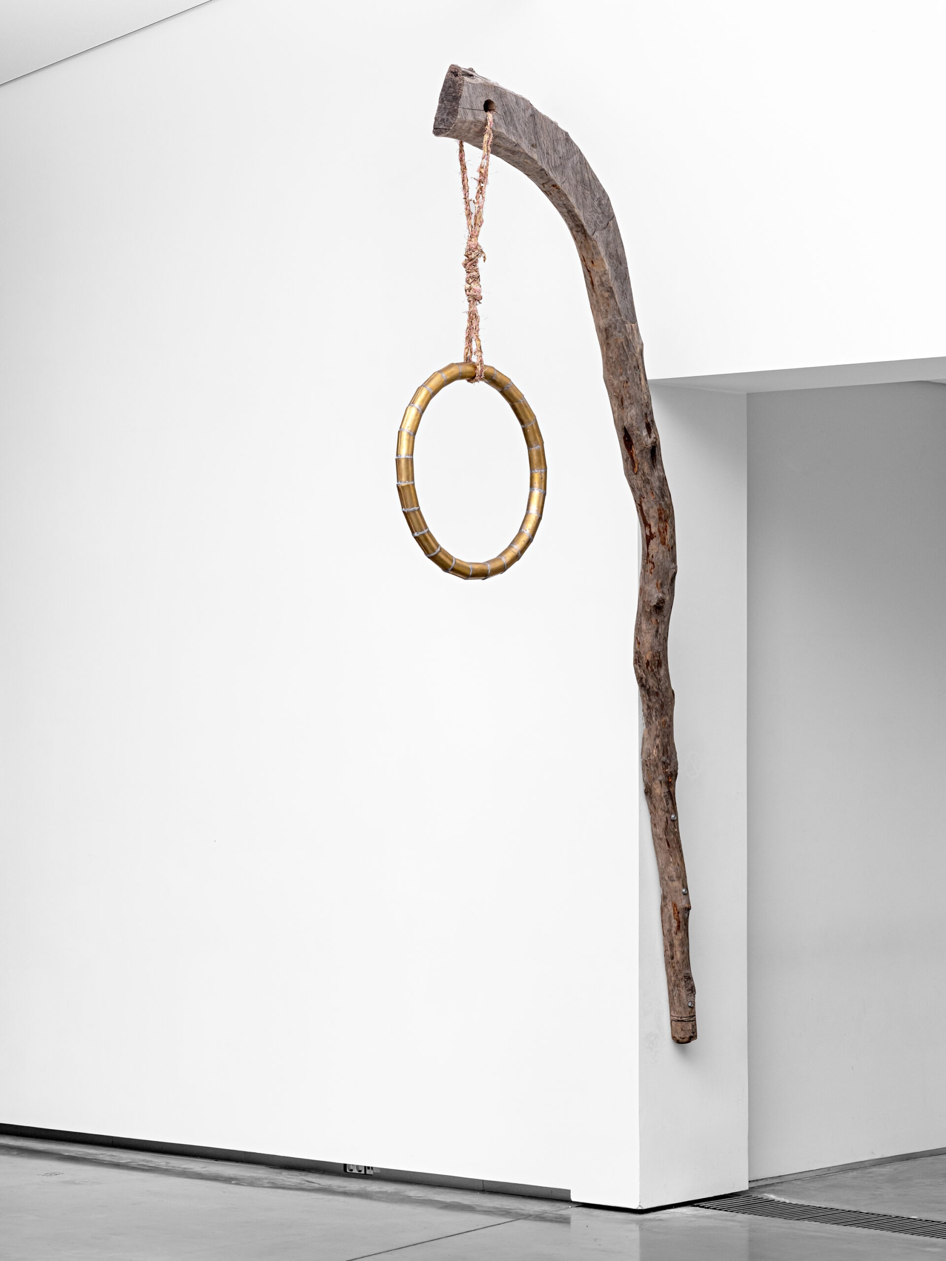 The same rope that hung you will pull you up in the end, 2020