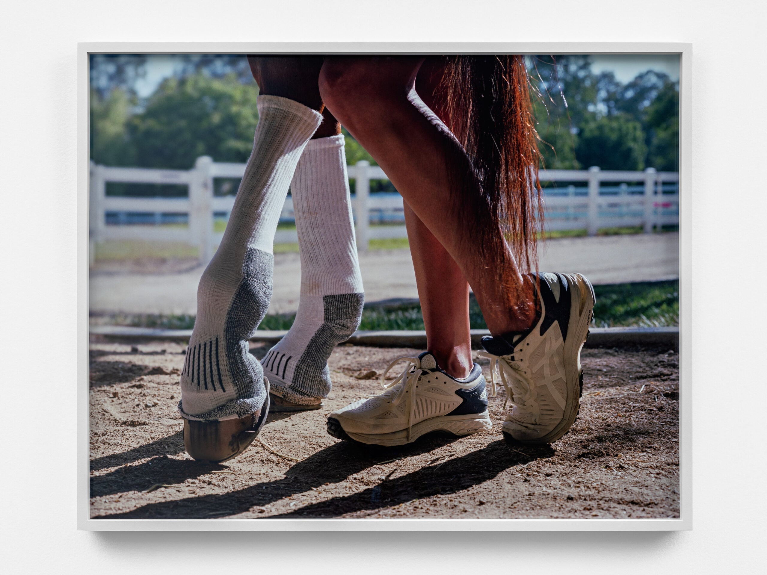 Socks, Shoes and Tail, 2020