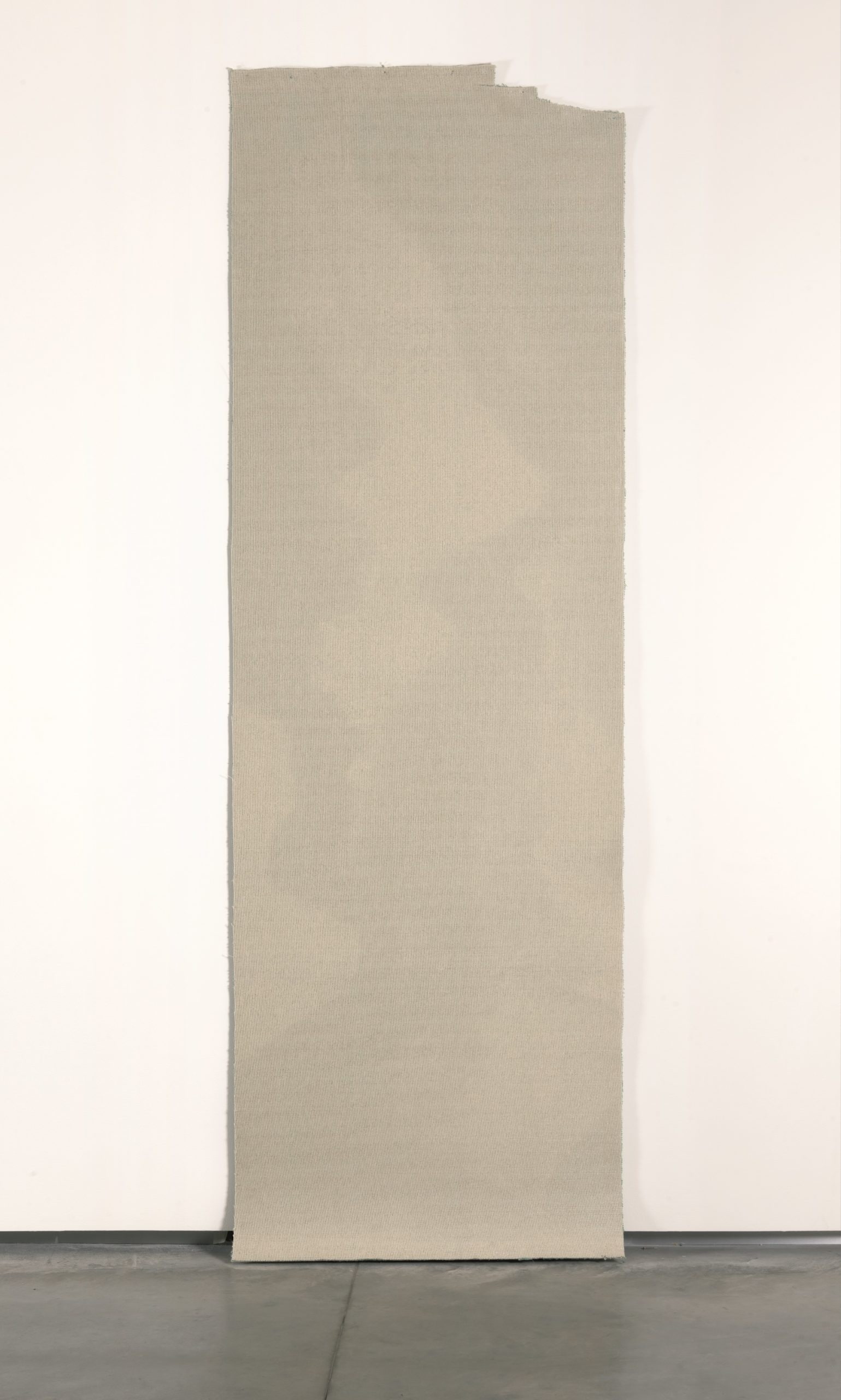 Absorbed by Light, 2009