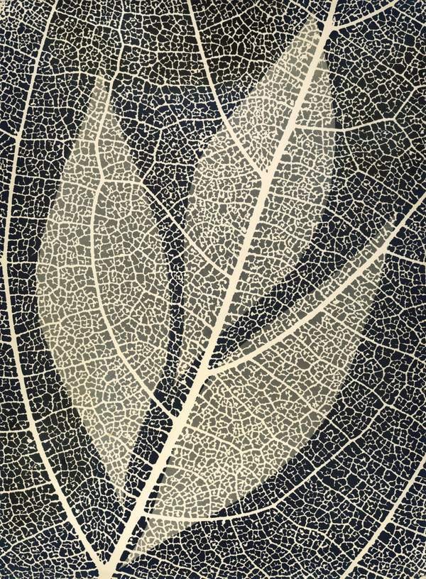 ‘Behind the Curtain‘, Gertrudes Altschul, c.1957 | Tate