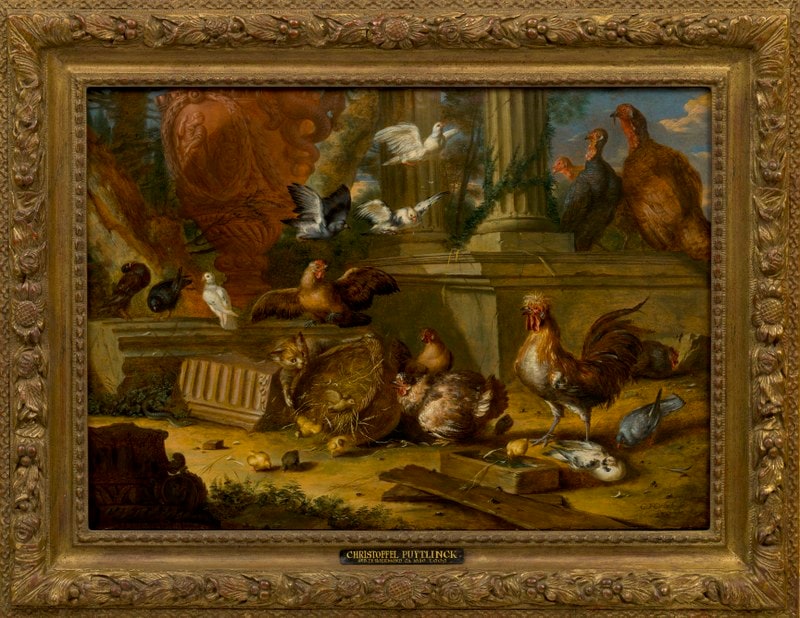 Kat en pluimvee, Hoenderhof