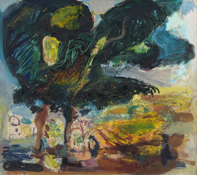 Grote bomen