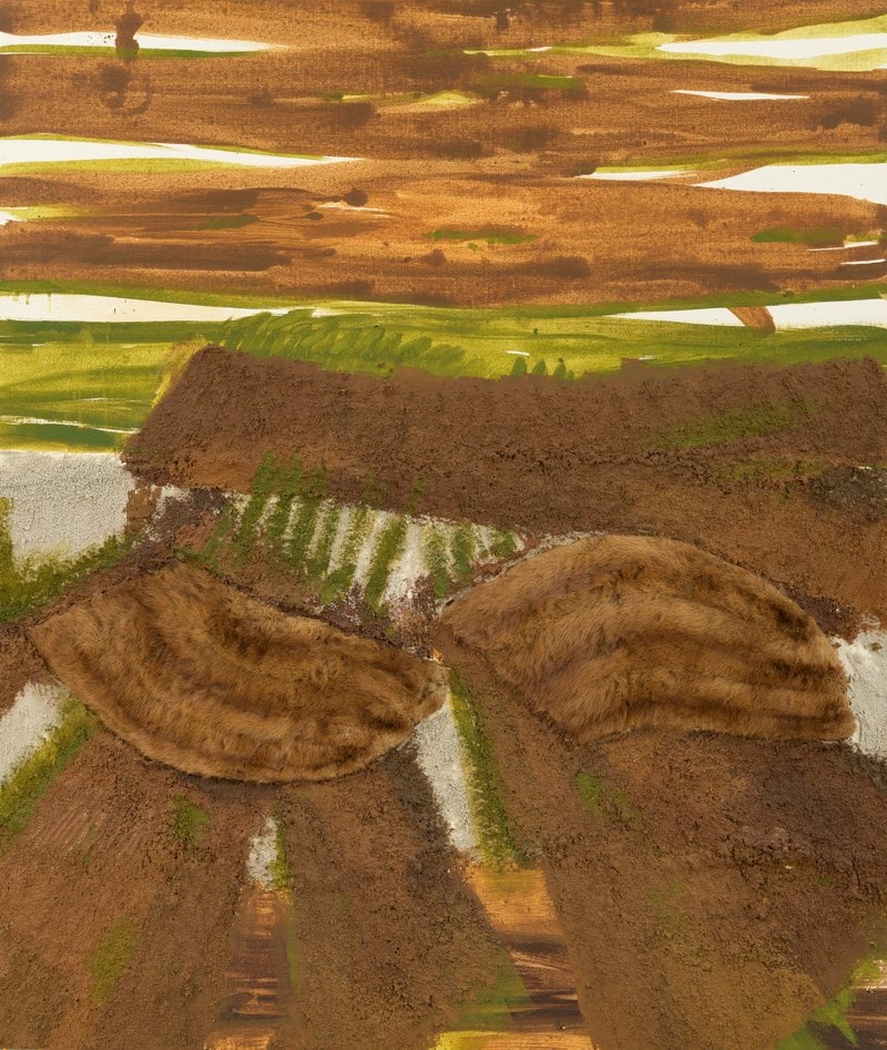 Pelzkragen