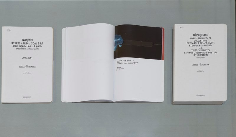 #Livrets Documenta 11: 2a - (Courts) descriptifs d'expositions 1987.1988.1989.1990.1991.1993.1994.1995.1996.1997.1998.1999.2000.2001.2002