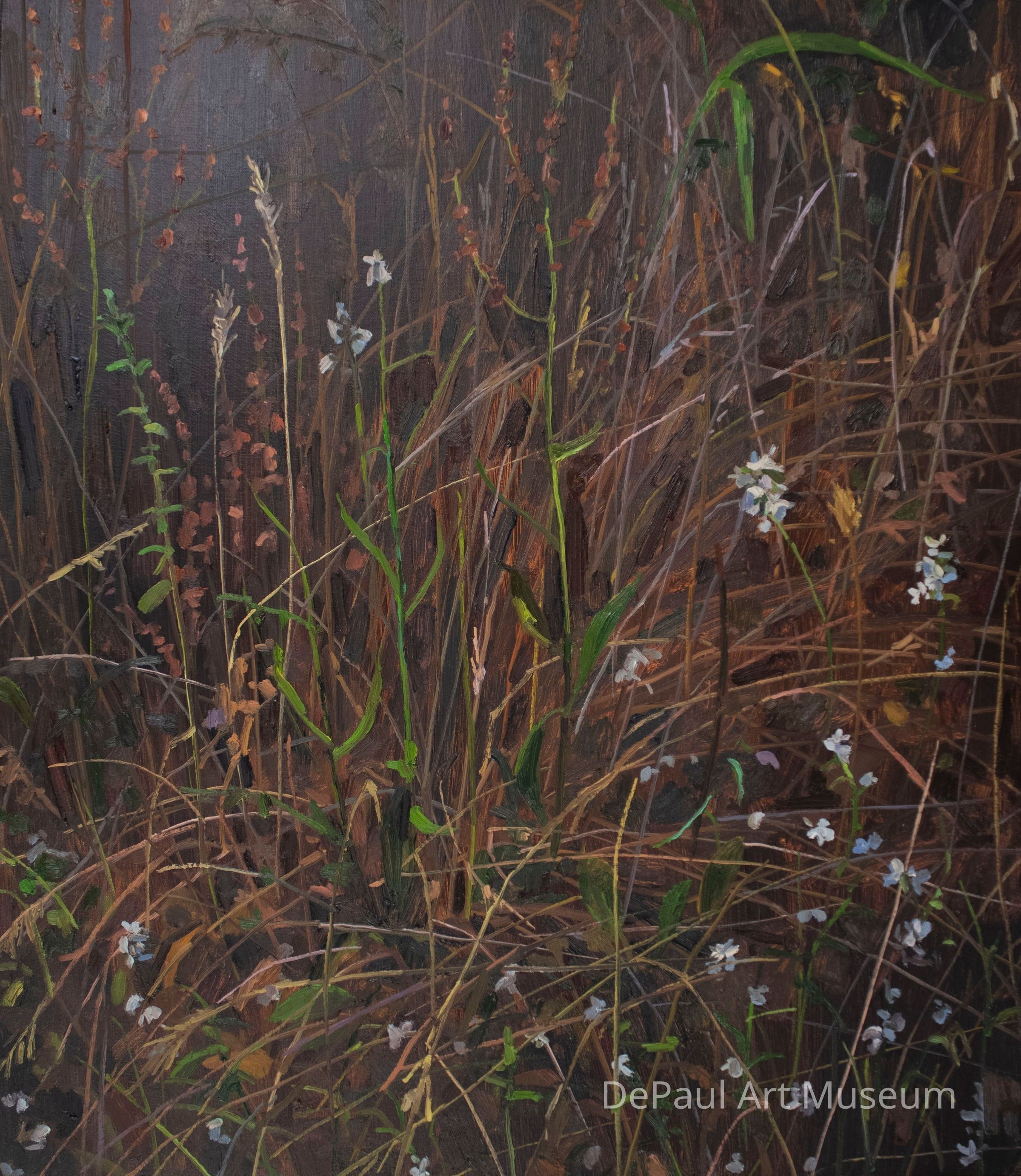 Wildflowers