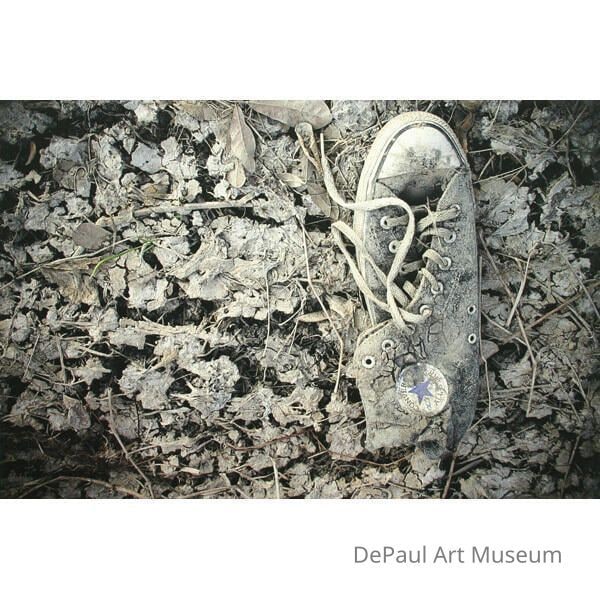 Gym Shoe (Katrina Series)